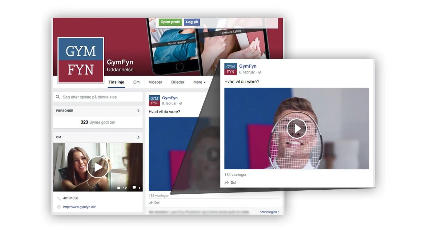 Facebook campaign and film-promotion applications.