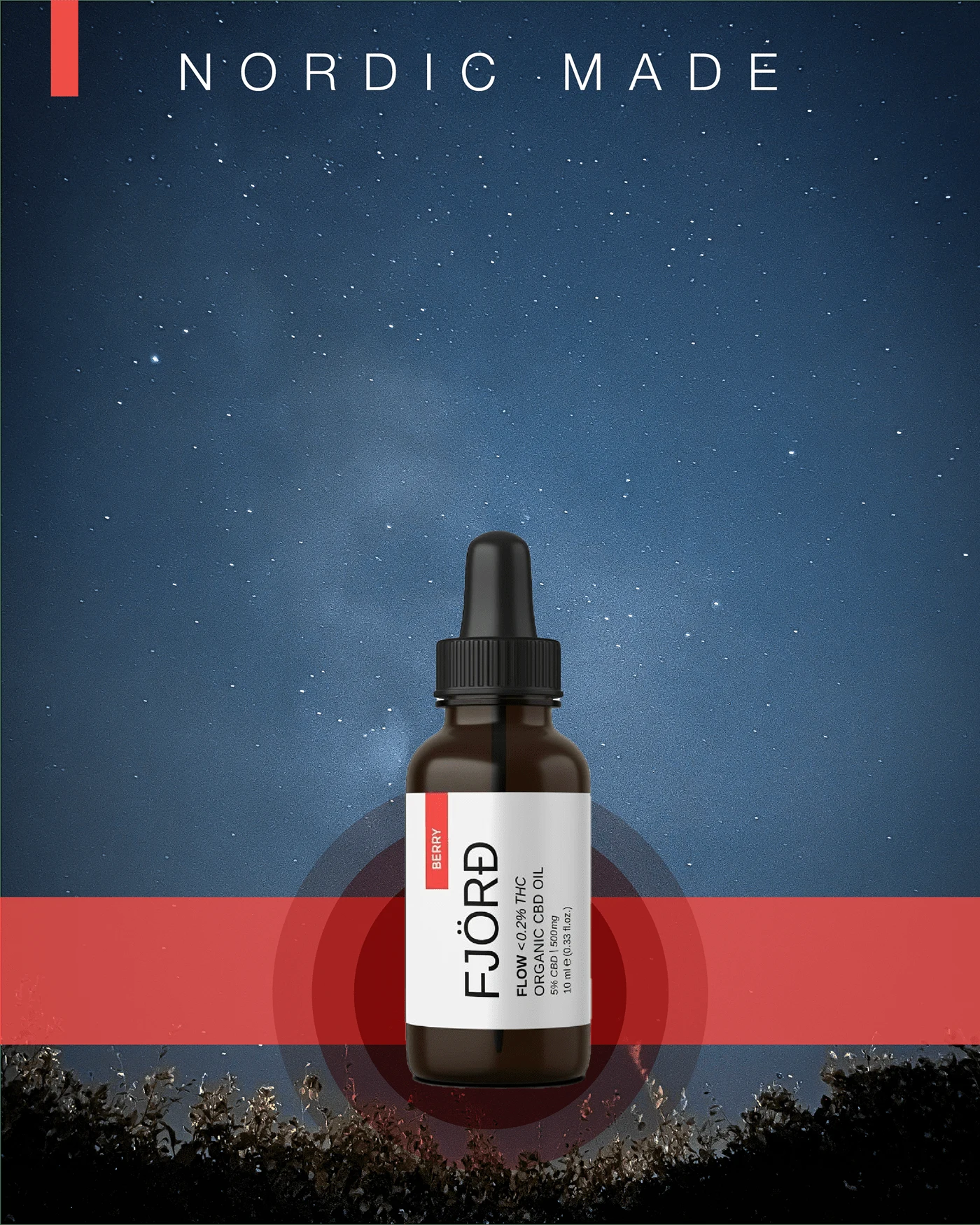 A night sky framed by the campaign identity.
