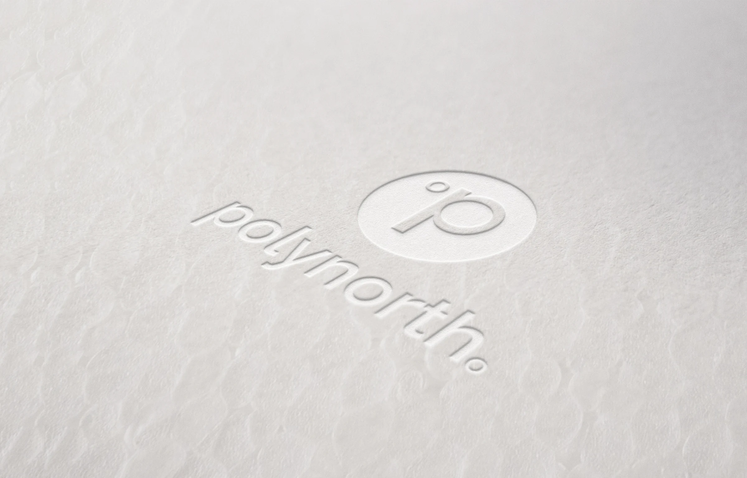 Polynorth identity embossed into the texture of polystyrene insulation