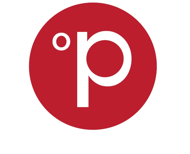 The standalone Polynorth symbol.